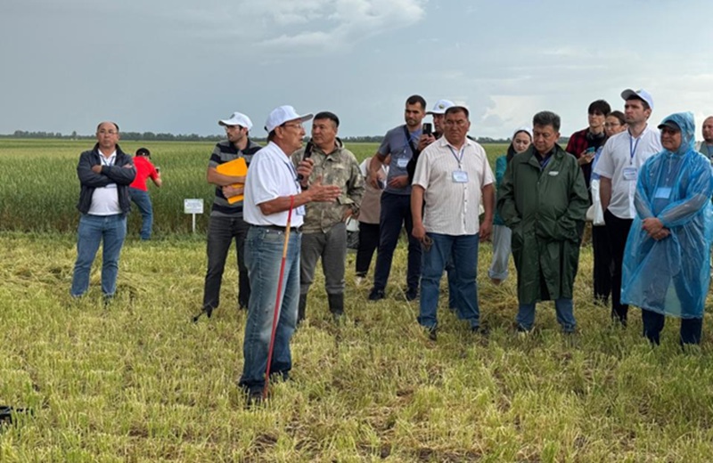 В Акмолинской области прошёл День поля на тему «Устойчивое производство сельскохозяйственных культур в засушливых условиях Казахстана».