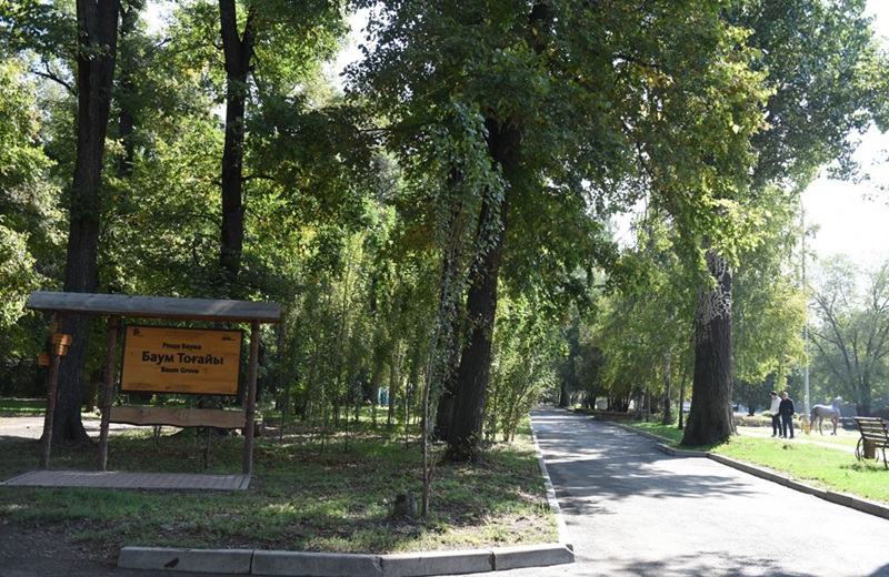 Баумановская роща: пробуждение забытого леса Баумановская роща. Реконструкция рощи Баума