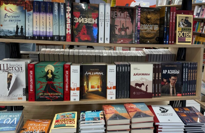 книжные полки, Два пути к читателю: традиционное издательство или самиздат