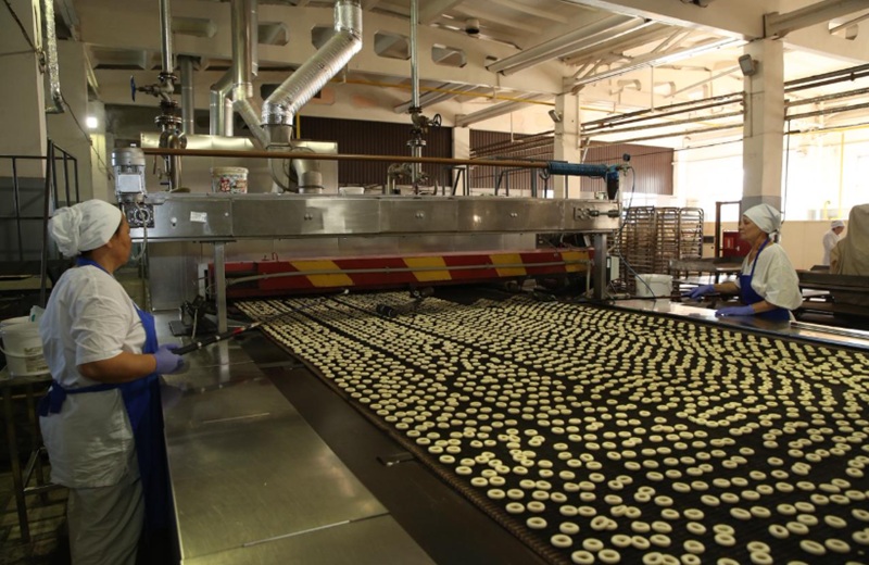 Развитие бизнеса в Алматы: господдержка МСБ, гранты, кредиты