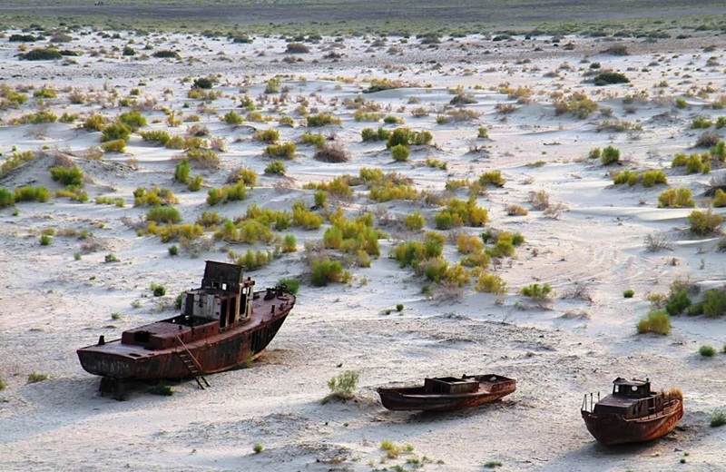 сохранение Северного Арала