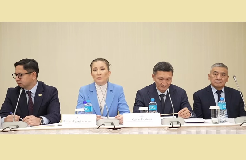 Новый Налоговый кодекс: удар по МСБ или «оптимизация» Налоговый альянс: Новый Налоговый кодекс и влияние на малый и средний бизнес в Казахстане