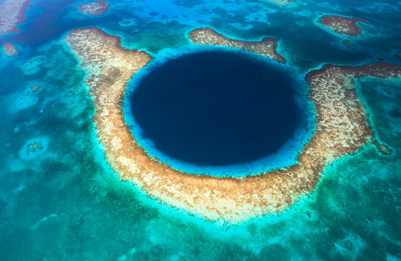 Красная книга Казахстана и редкие виды животных